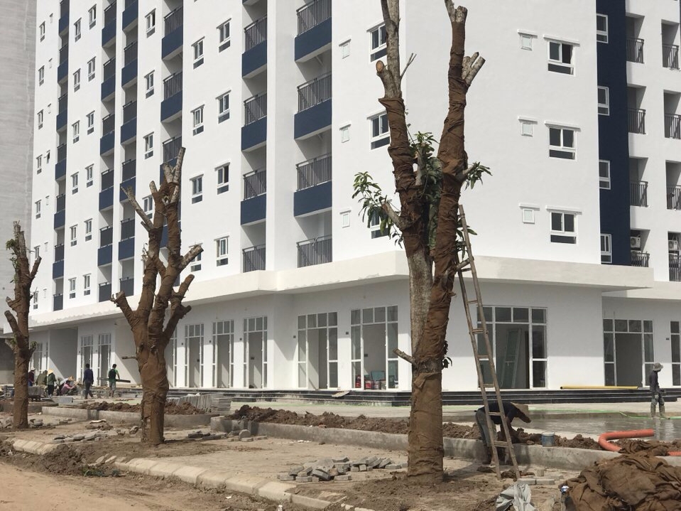 Chung cư Thanh Hà Mường Thanh Cienco 5