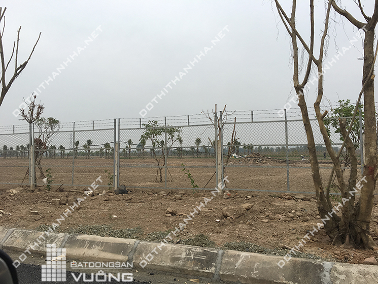 bán biệt thự Thanh Hà Mường Thanh Cienco 5