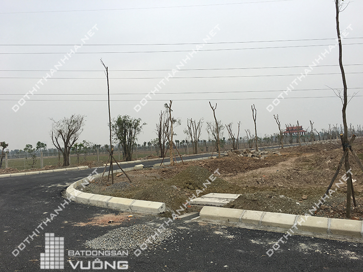 bán biệt thự Thanh Hà Mường Thanh Cienco 5