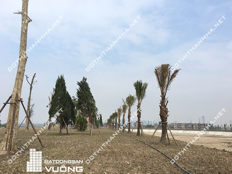 bán liền kề Thanh Hà Mường Thanh Cienco 5