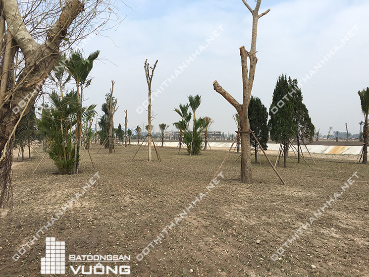 bán liền kề Thanh Hà Mường Thanh Cienco 5