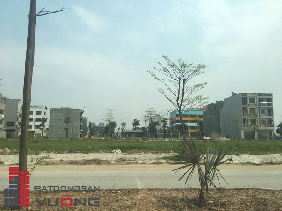 tien do thanh ha