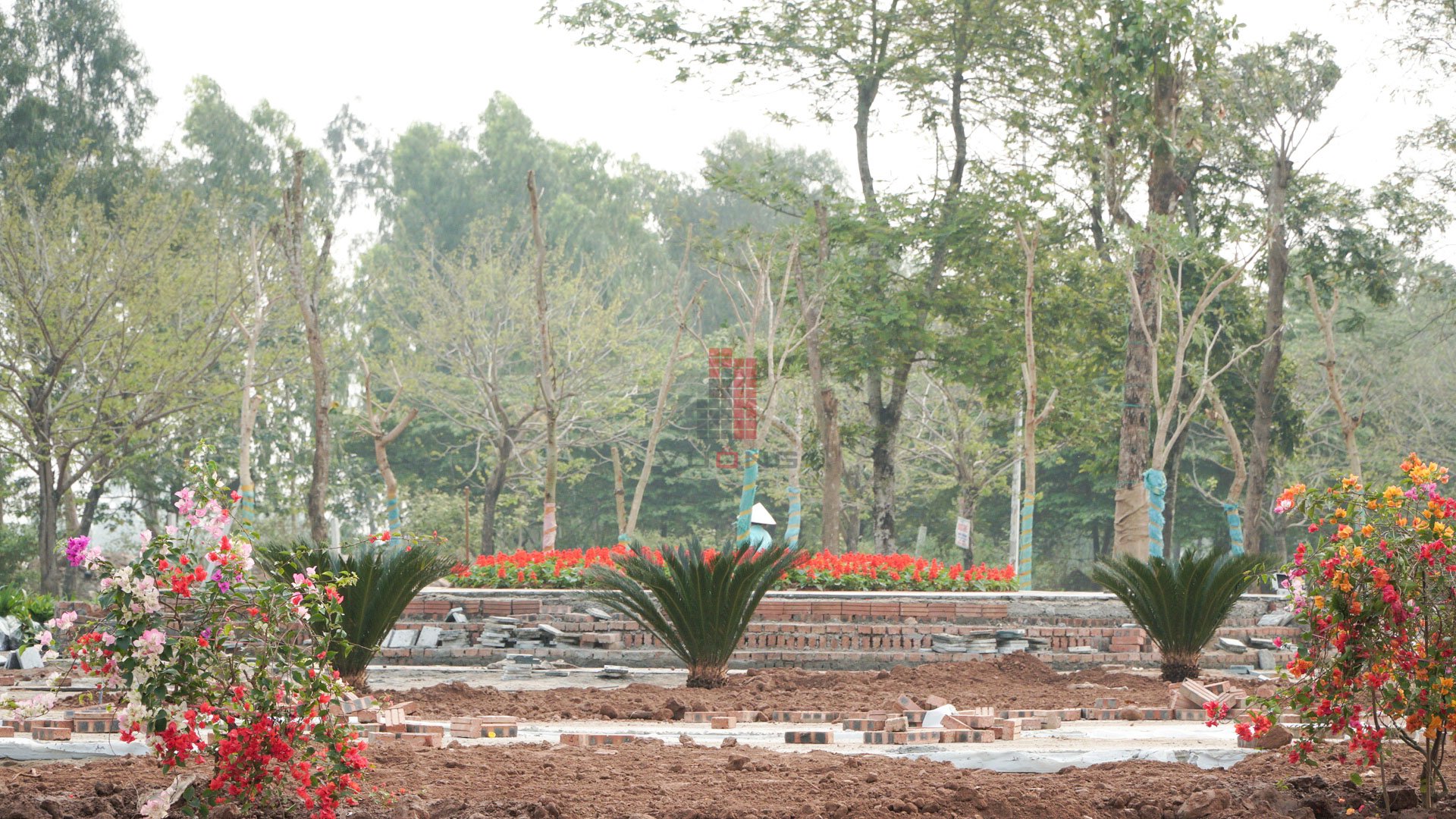 tien-do-cong-chao-thanh-ha