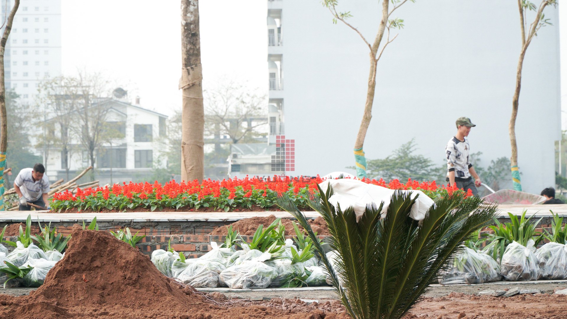 tien-do-cong-chao-thanh-ha