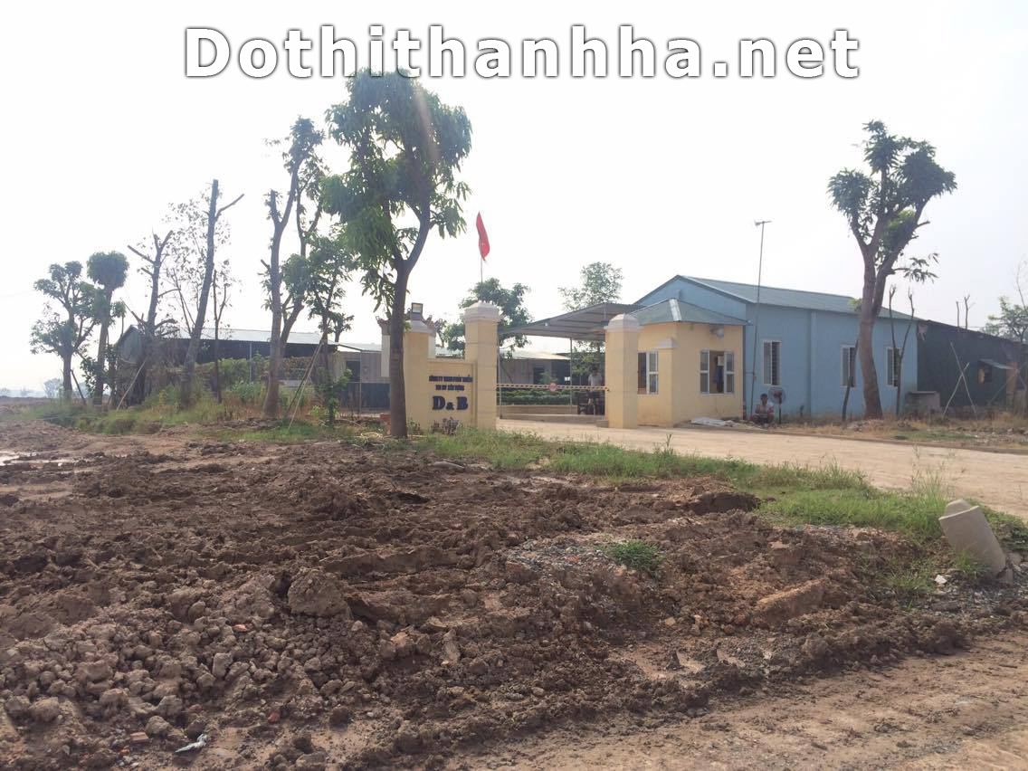 Khu A  đô thị Thanh Hà Mường Thanh 
