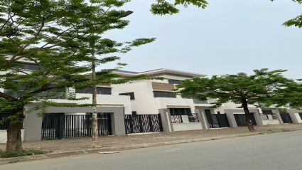 Bán Biệt thự Thanh Hà B1.1 BT03 diện tích 253,74m2 căn góc mặt tiền 29,79m hướng Đông Nam, Đông Bắc đường 14m gần khu chung cư M1