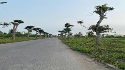 Bán Biệt Thự Thanh Hà B2.4 BT03 Diện Tích 200m², Mặt Tiền 10m, Hướng Đông Đường 17m Rộng Rãi