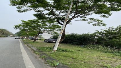 Bán Biệt Thự Thanh Hà B2.1 BT09 Diện Tích 300m² Mặt Đường 30m View Hồ Điều Hòa Hướng Đông Bắc