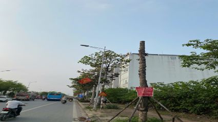 Bán Biệt thự Thanh Hà B2.2 BT02 diện tích 300m2 mặt tiền 10m hướng chính Tây đường trục phía nam 60m view nhìn trường mầm non