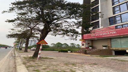 BÁN BIỆT THỰ THANH HÀ B2.4 BT05 DIỆN TÍCH 300M2, MẶT TIỀN 10M, HƯỚNG TÂY, ĐƯỜNG 60M, GẦN NGÂN HÀNG