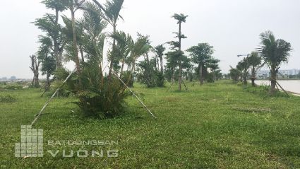 Tiến độ thi công và thị trường khu đô thị Thanh Hà bị ảnh hưởng như thế nào đối với những thông tin bất lợi tới tập đoàn Mường Thanh  ?