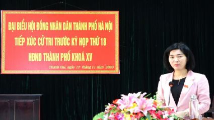 Cử tri kiến nghị đầu tư xây dựng trường công lập tại Khu đô thị Thanh Hà