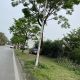 Bán Biệt Thự Thanh Hà B2.1 BT09 Diện Tích 300m² Mặt Đường 30m View Hồ Điều Hòa Hướng Đông Bắc