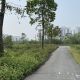 Bán Liền kề Thanh Hà B2.3 LK013 diện tích 100m2 mặt tiền 5m hướng chính Đông đường 14m chủ cần bán gấp, giá thiện chí cho khách mua